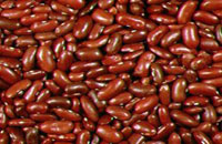 خواص گیاهان   71• لوبیا (Kidney bean)