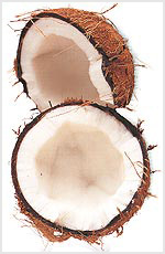  خواص گیاهان   78• نارگیل (Coconut)
