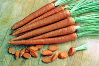  خواص گیاهان   84• هویج (Carrot)