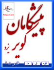 تقدیر کمیسیون اجتماعی مجلس شورای اسلامی از مدیرعامل گروه پیشگامان