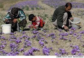 مدیران ارشد پروژه بین المللی منارید از فعالیت‌های اجرایی در استان یزد بازید کردند 