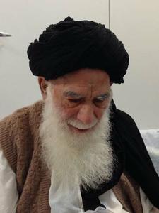 ناگفته هایی از فعالیت های سیاسی و مبارزاتی حضرت ایت الله سید جواد حیدری  (2  نظر)