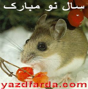 سال موش و هر آنچه در باره آن می خواهید 