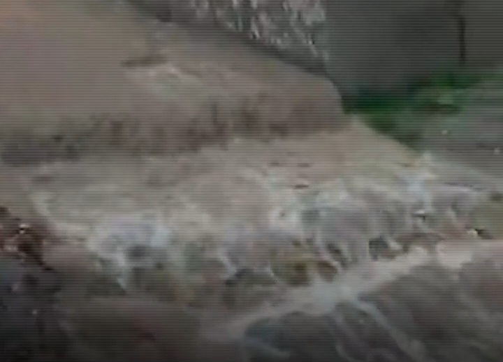 فیلم| جاری شدن روان آب پس از بارشها در روستای زیبای قطرم بافق