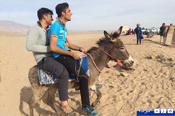 گزارش تصویری : کویر،جاذبه گردشگری یزد که نمی توان از آن به سادگی گذشت!