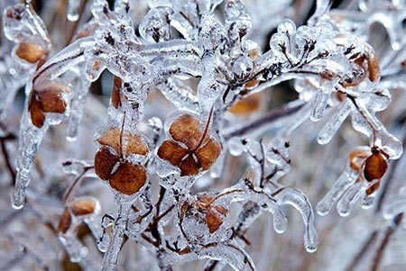 برودت و یخبندان شبانه همچنان مهمان یزدی‌ها