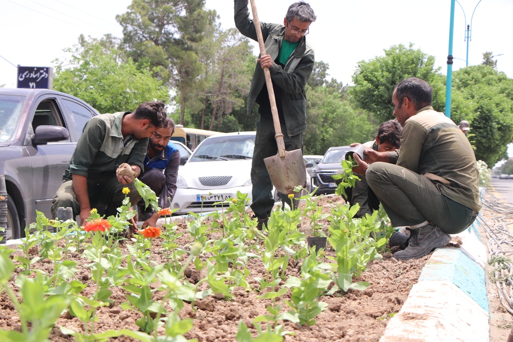 20 میلیارد ریال؛ هزینه روزانه نگهداری فضای سبز شهر یزد