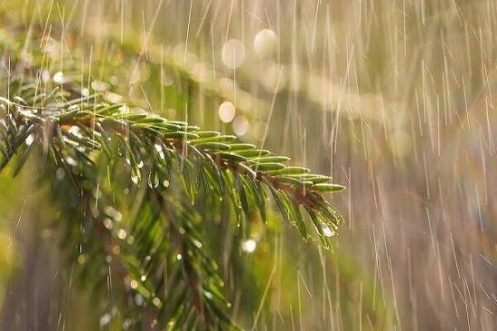 کاهش تدریجی ابرناکی آسمان یزد/ بیشترین بارش هفته گذشته در چاهک خاتم