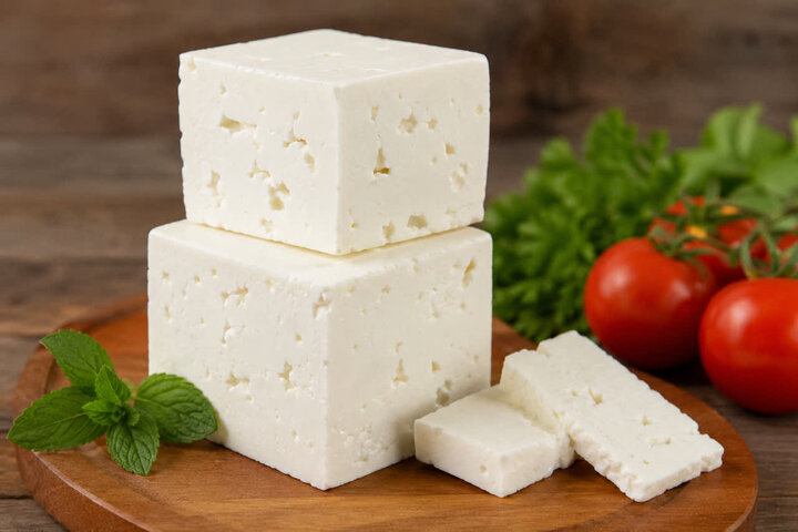 ببینید| دیگه با این روش پنیر کپک نمیزنه