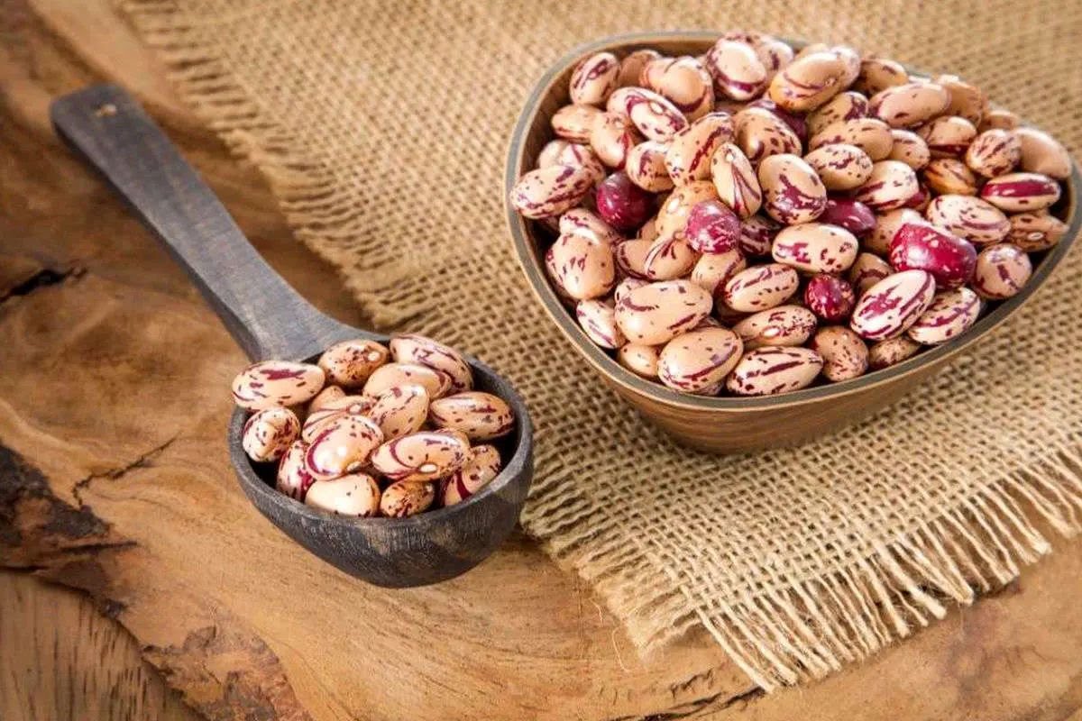 کاهشهاست که میماند