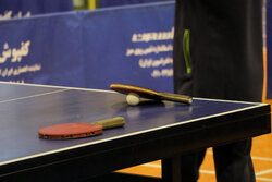 رشد ۲۰ درصدی بانوان ورزشکار سازمان یافته در استان یزد