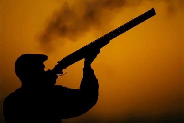 دستگیری شکارچیان غیرمجاز کل در کوهپایه‌های اردکان