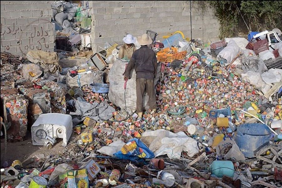 رشد قارچ گونه ضایعات فروشی‌ها در یزد