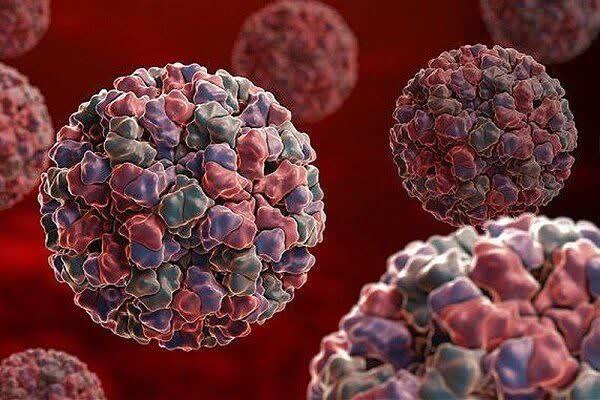 کاهش ۱۱ درصدی آمار آنفلوانزا در استان یزد/ موج بیماری روند نزولی گرفت کاهش ۱۱ درصدی آمار آنفلوانزا در استان یزد/ موج بیماری روند نزولی گرفت