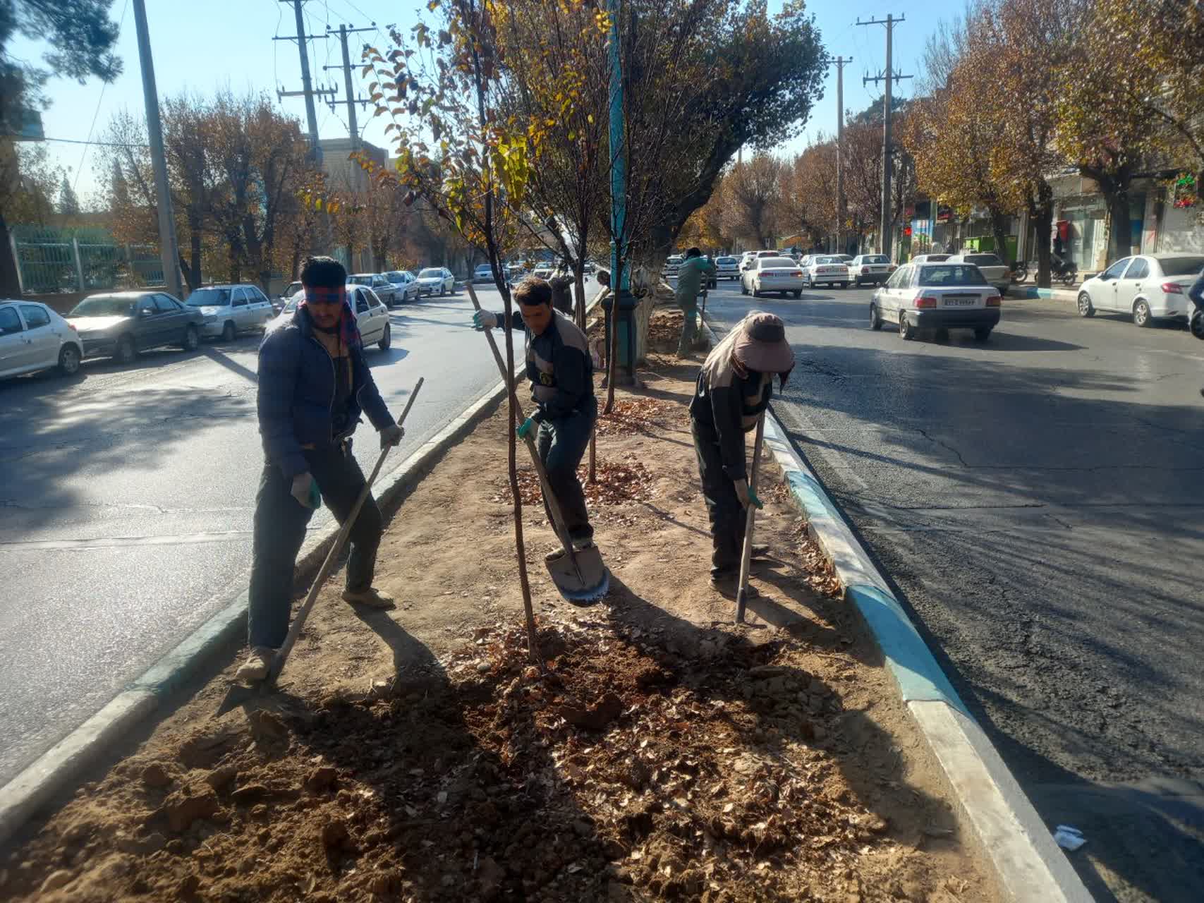 آغاز عملیات خاکورزی و کوددهی درختان و فضاهای سبز سطح شهر یزد