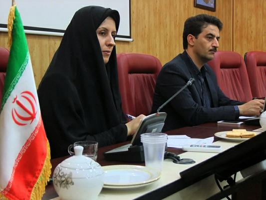 جلسه کارگروه امور بانوان دستگاه های اجرایی شهرستان طبس با معاون استاندار و فرماندار ویژه این شهرستان برگزار شد