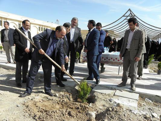 برگزاری مراسم درختکاری در دانشگاه پیام نور مرکز مهریز