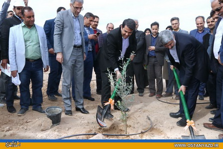 سرانه فضای سبز استان، معادل نصف وضعیت مطلوب است‌/ ممنوعیت هرگونه واگذاری زمین در محدوده کمربند سبز یزد