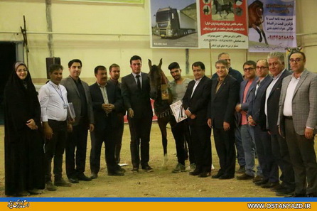  جشنواره مسابقات زیبایی اسب اصیل عرب برگزار شد