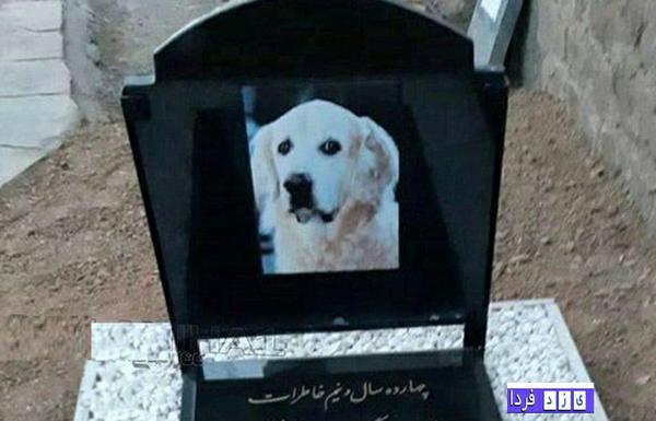  مراسم خاکسپاری یک سگ در مسجد هم به توهین ها اضافه شد!!!(به همراه تصویر)