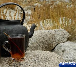 بفرما دو استکان چای ! +تصاویر