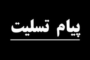 پیام نماینده مردم شریف شهرستانهای یزد و اشکذر به مناسبت رحلت حضرت حجه الاسلام آقای حاج سید جواد حیدری(4 نظر)