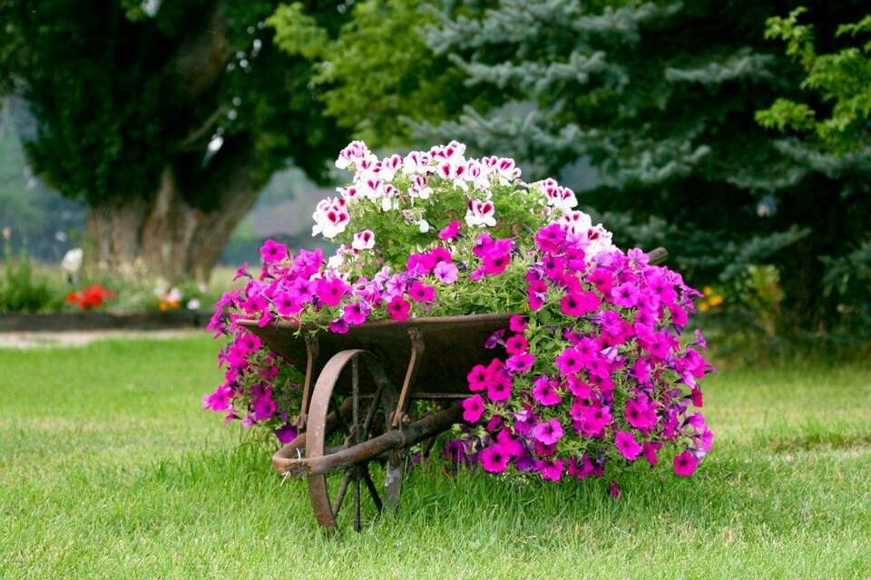 فضای سبز ادارات در اختیار شهروندان قرار گیرد