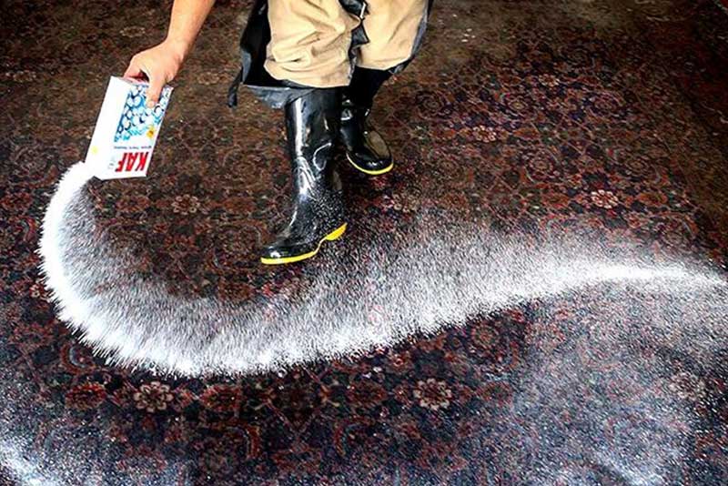 افزایش ۴۰ درصدی نرخ‌های قالیشویی